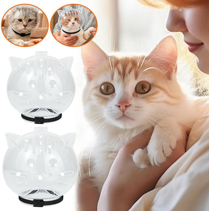 Cat Transparent Muzzle Breathable Face（2PCS）