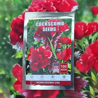 Cockscomb Seeds— Exotic Charm — Also known as the "Velvet Flower" 100 Seeds for Planting