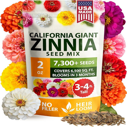 Beautiful Zinnia flowers grown right at home (Zinnia Seeds)