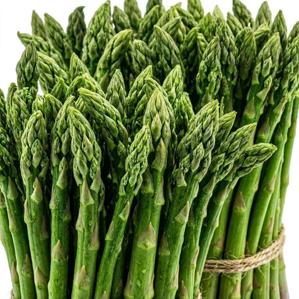 Mary Washington asparagus, a perennial heirloom vegetable(100 Asparagus Seeds)