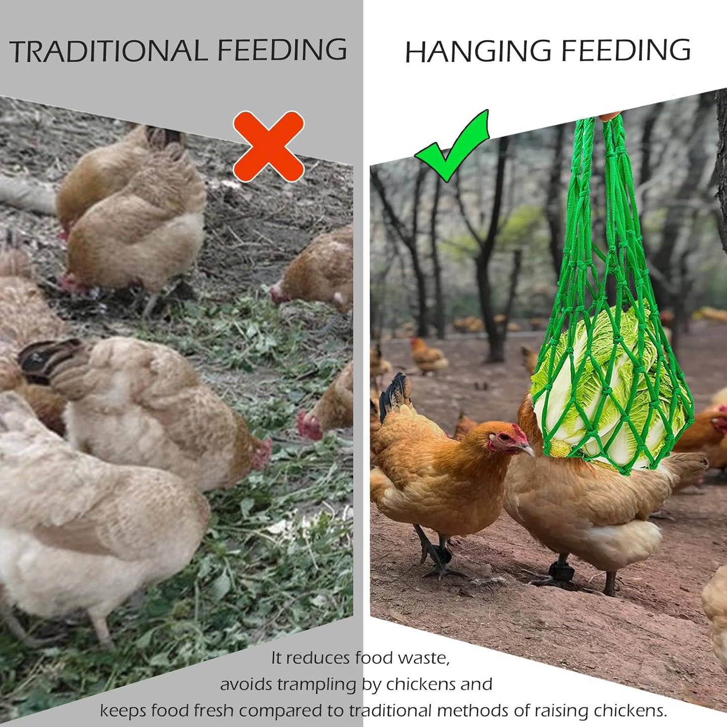 3PCS Chicken Vegetable Fruit Hanging Feeder