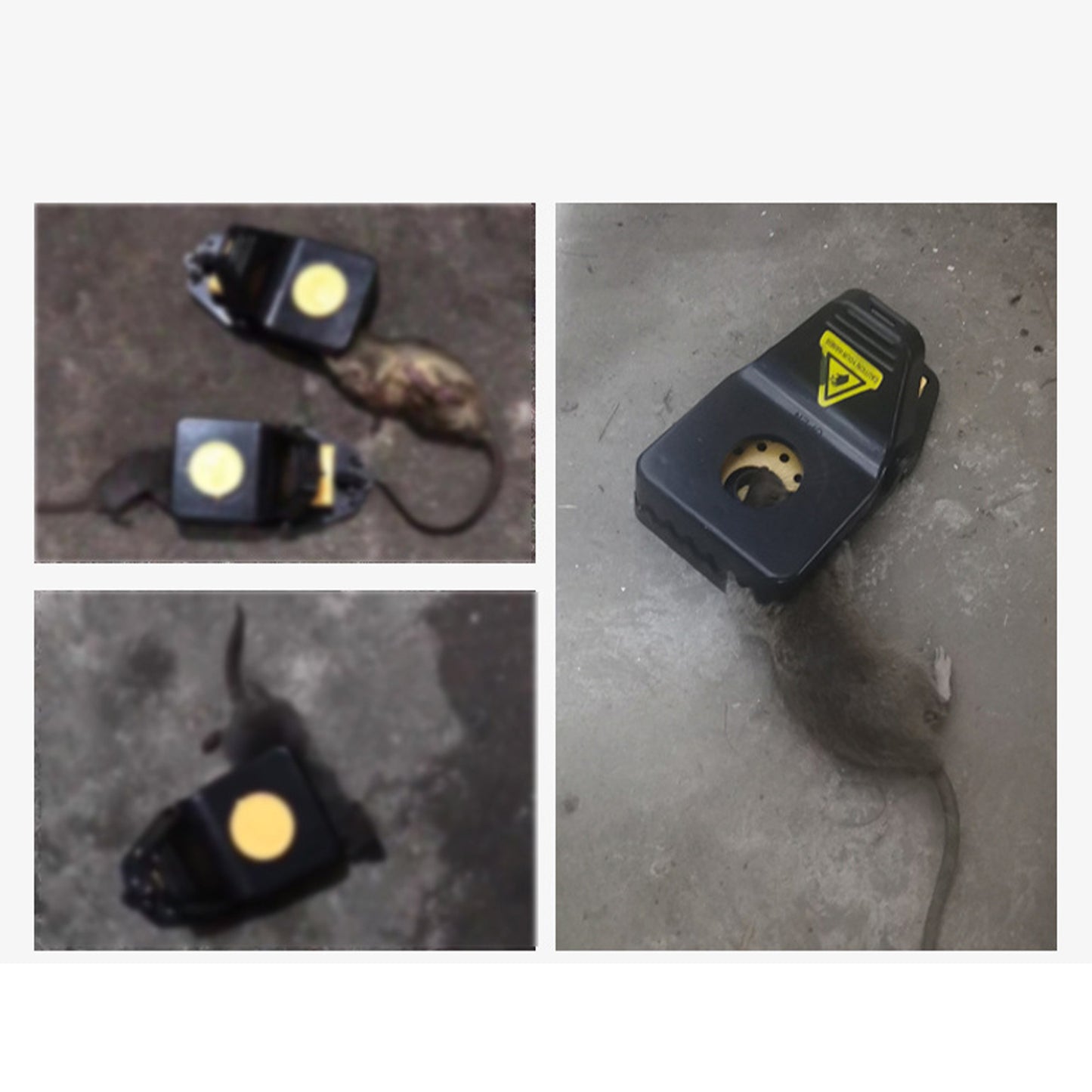 4-Pack High-Sensitive & Reusable Mouse Trap