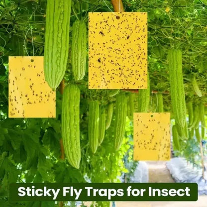 20-Pack Extra-Strong Self-Adhesive Boards—Chemical-Free Moth Traps