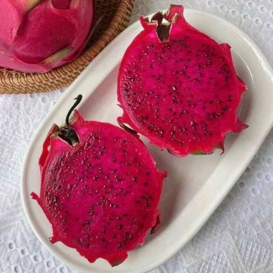 Delicious Dragon Fruit—Ideal for Home Gardening