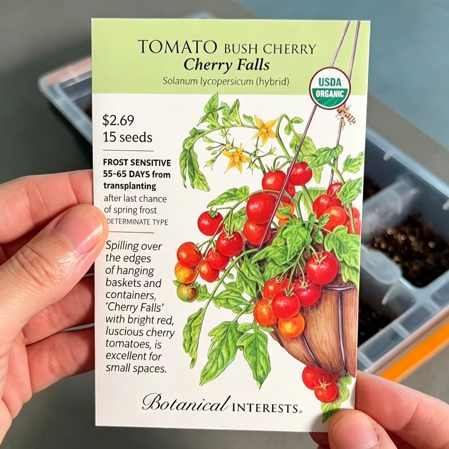 Dwarf Potted Tomatoes-100 Dwarf Tomato Seeds