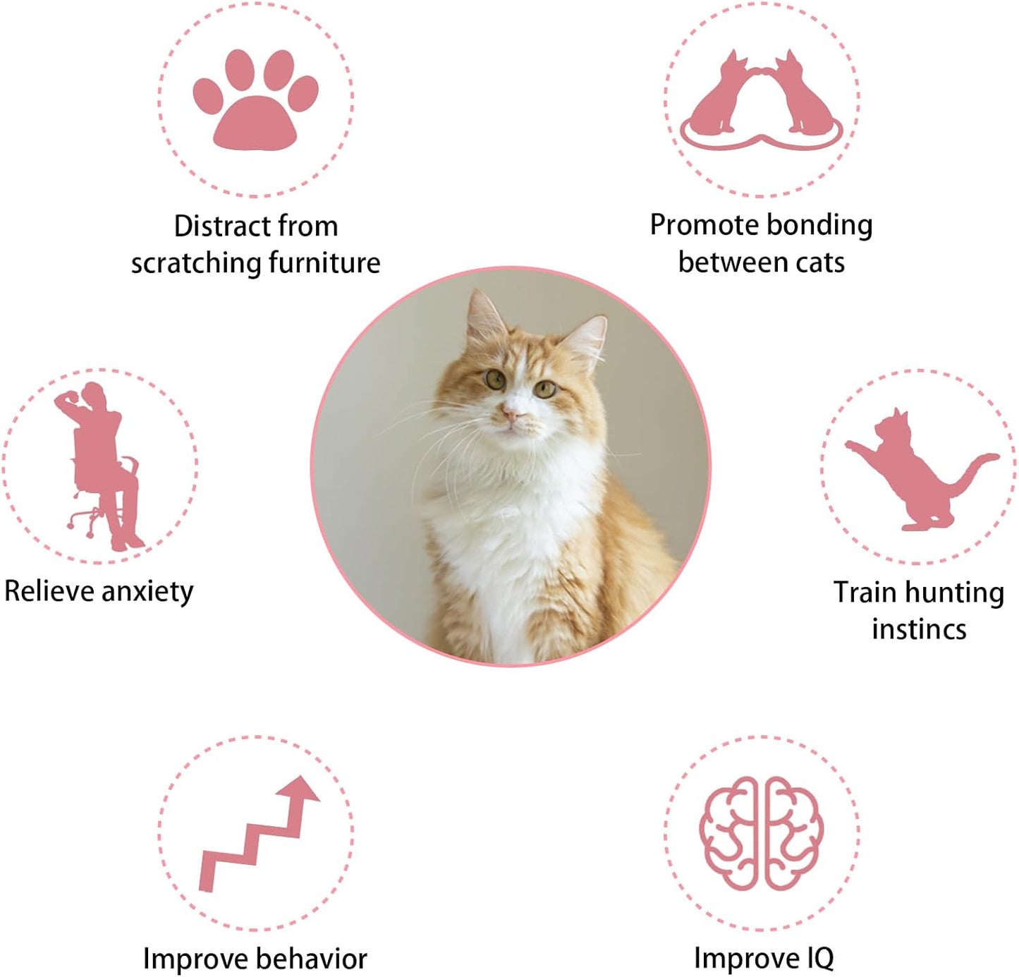 2Pcs/set Cat Collar Toy with Neck Collar, Interactive Self Playing Toys
