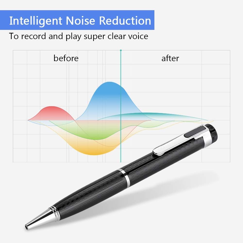 Portable Voice Recorder