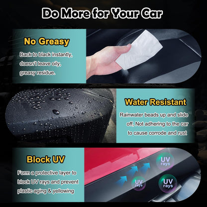 Refurbishing Agent Set for Refreshing Faded Plastic, Leather, Vinyl & Rubber Trim with Polish, Automotive Shiny Stuff
