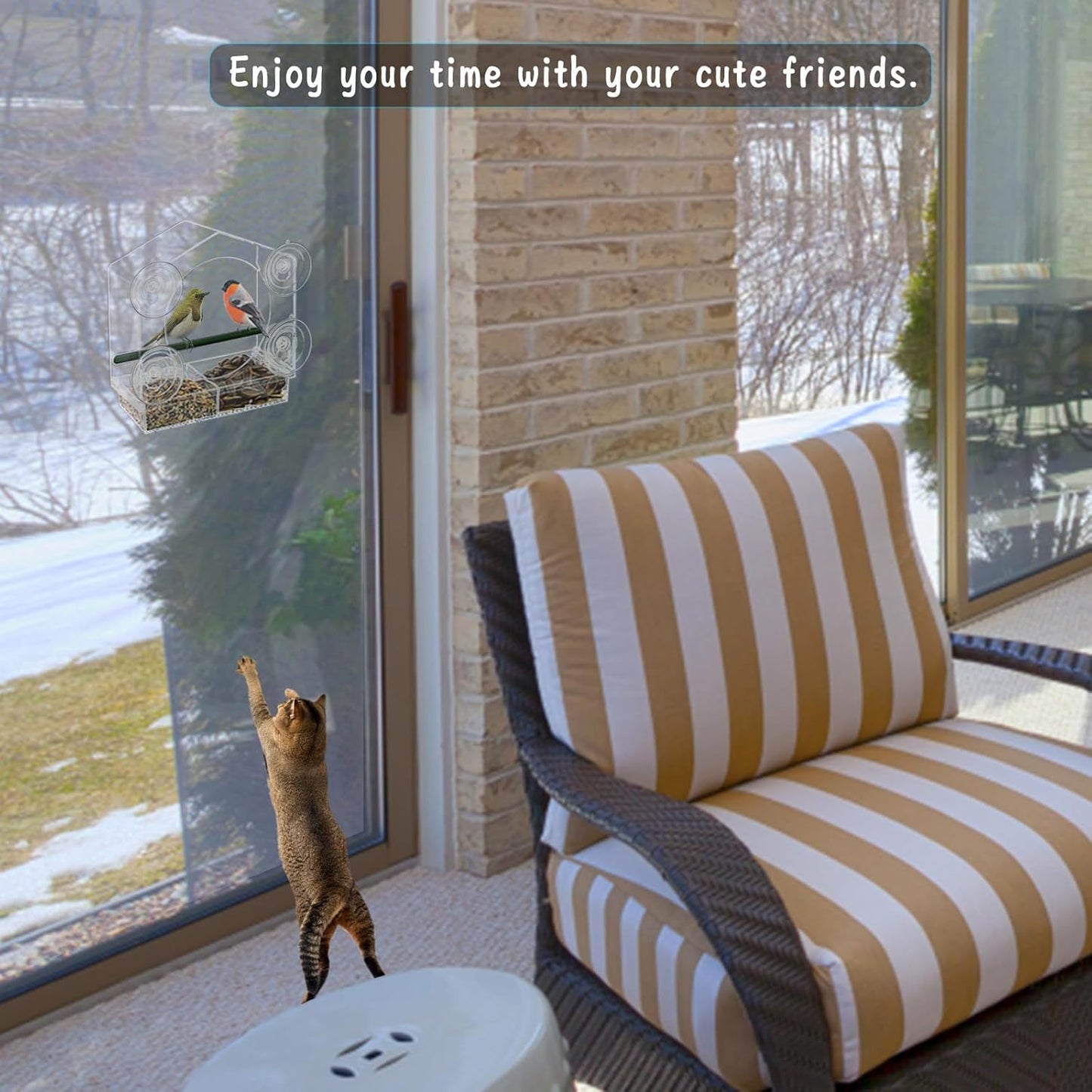 Acrylic Window Bird Feeder with 4 Strong Suction Cups
