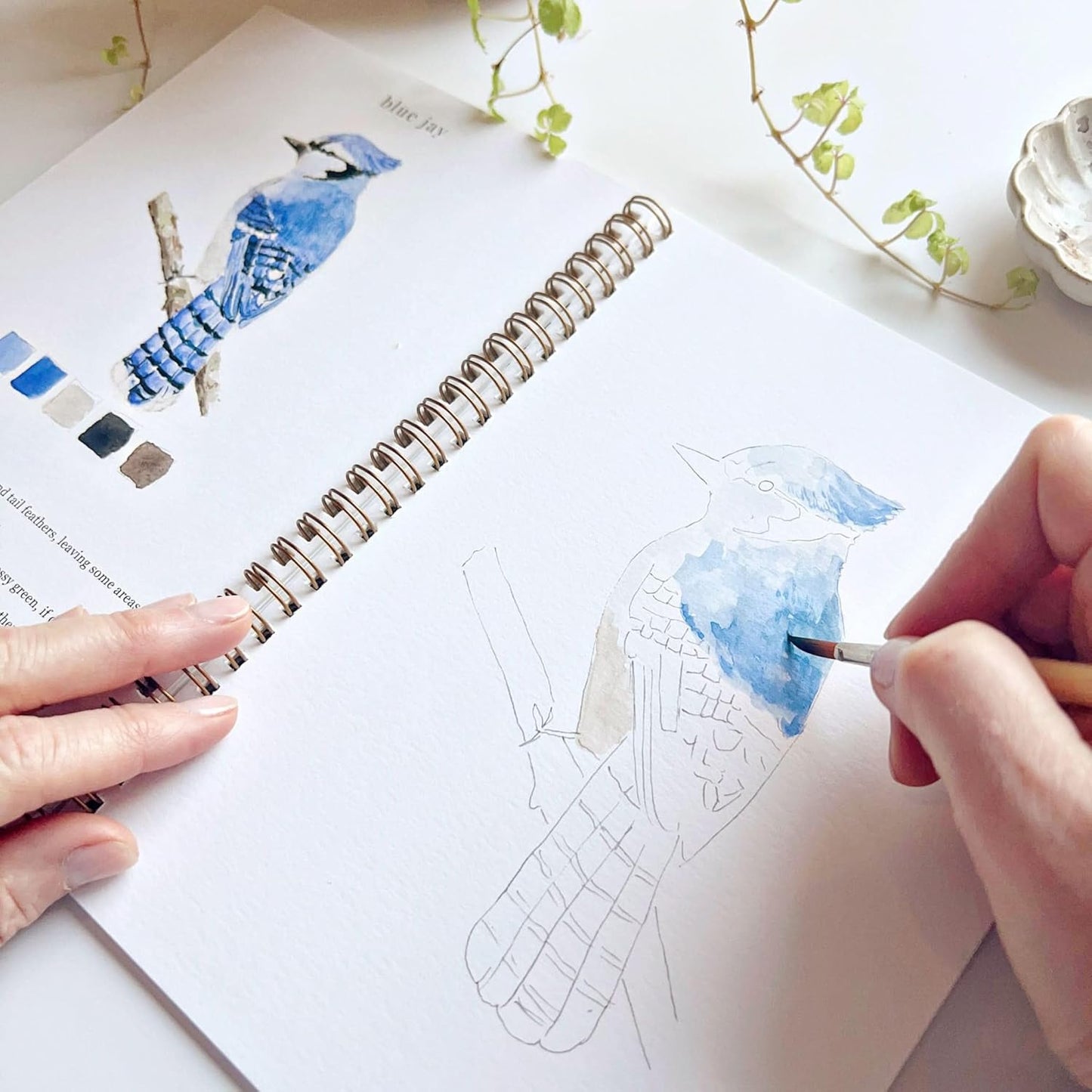 Watercolor Workbook Paint Set with 12 Watercolor Paints & A Brush