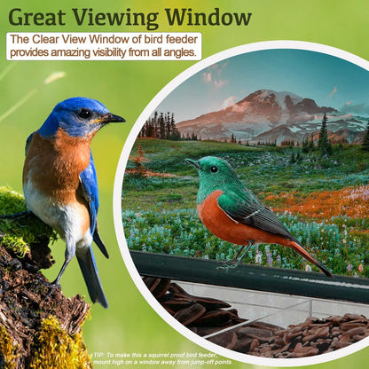 Acrylic Window Bird Feeder with 4 Strong Suction Cups