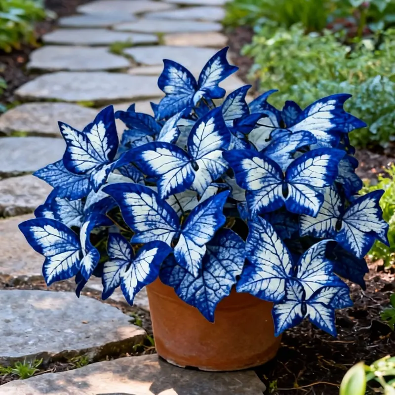 500 Moonlight Butterfly Seeds — Garden Flowers