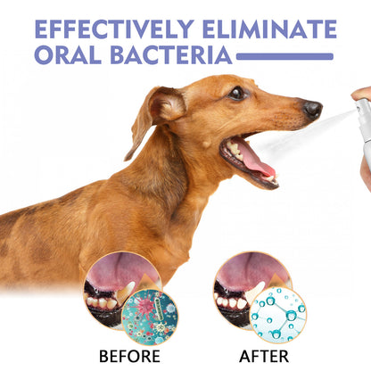 Teeth Cleaning Spray for Cats and Dogs, Removes Teeth Stains and Freshens Breath
