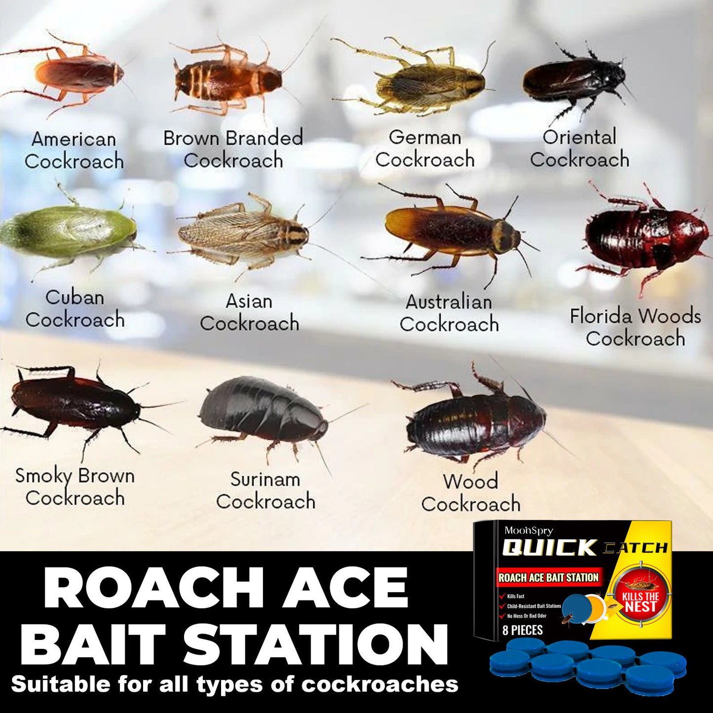 8PCS Roach Bait & Killer - Roach Repellent Stations for Nest Repellent of Indoor Infestations