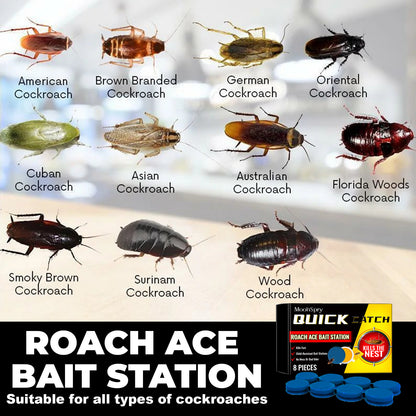 8PCS Roach Bait & Killer - Roach Repellent Stations for Nest Repellent of Indoor Infestations