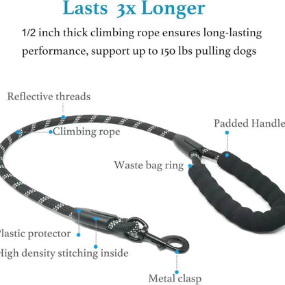 Dual Dog Leash - 360° Swivel, No Tangle Walking Leash with Shock Absorbing Bungee for Two Dogs