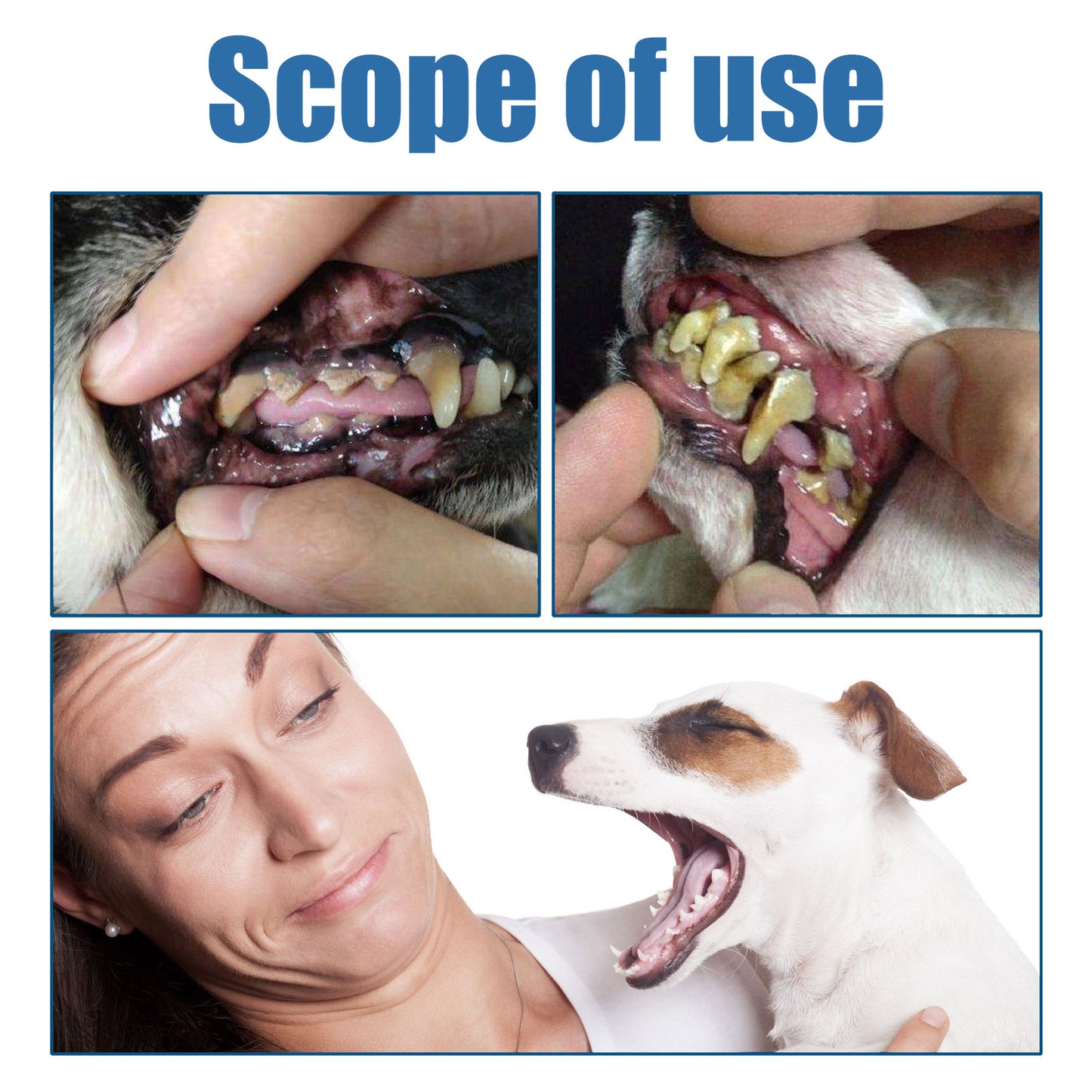 Pet Foam Oral Cleaning Foam Gentle Cleaning to Remove Stains and Yellowing from Teeth