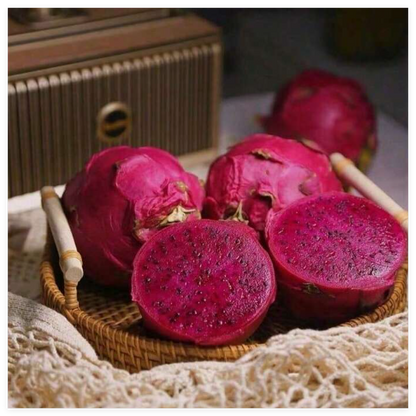 Delicious Dragon Fruit—Ideal for Home Gardening