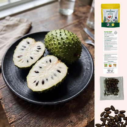 Organic Soursop Seeds – 30pcs Non-GMO Heirloom Tropical Fruit seeds